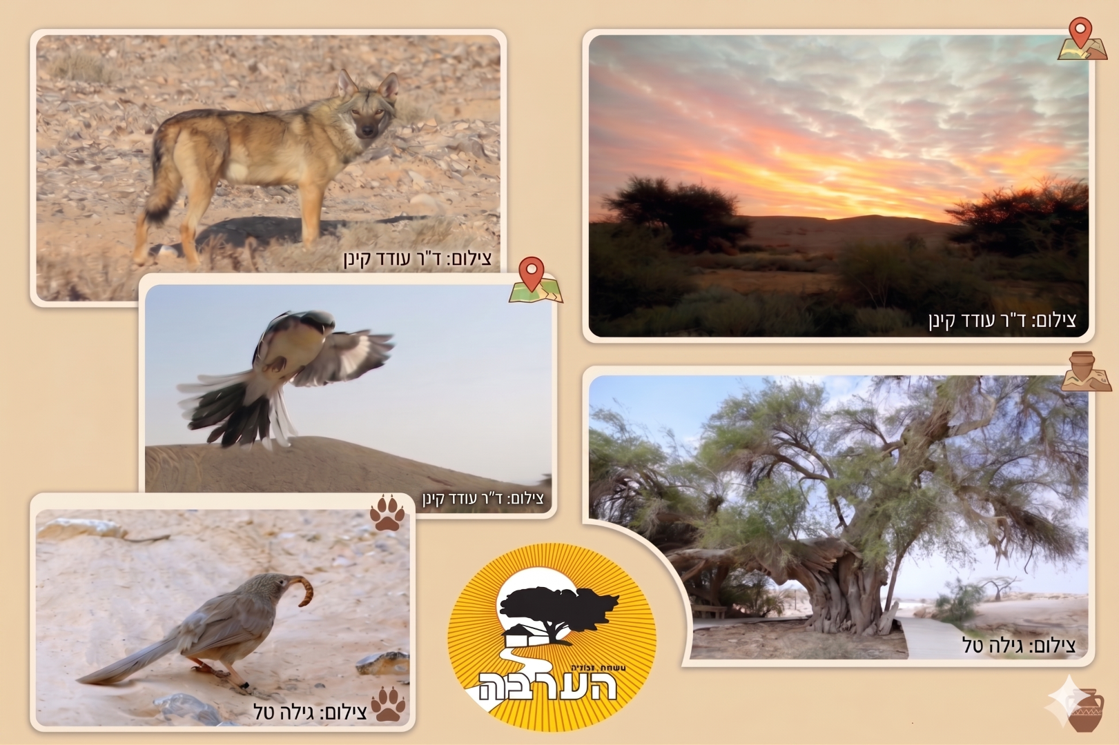 תמונת אווירה לסקר הערבה
